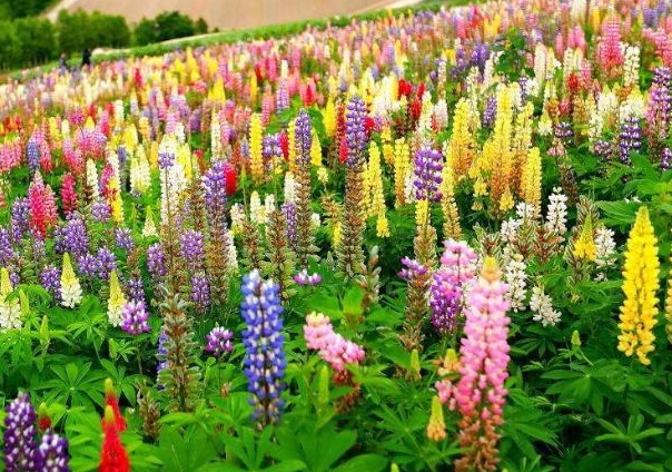 1637023507304680.jpg image.jpg