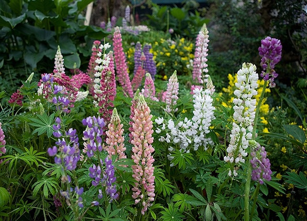 1637023525723270.jpg image.jpg