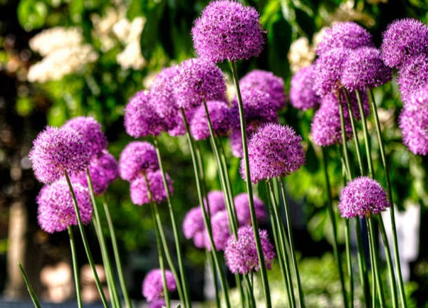 1637024248875095.jpg image.jpg