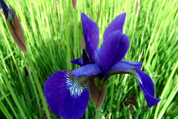 1637025212560018.jpg image.jpg