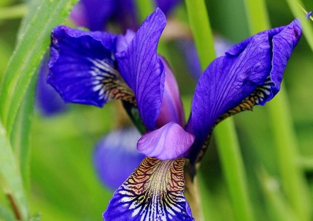 1637025252332111.jpg image.jpg