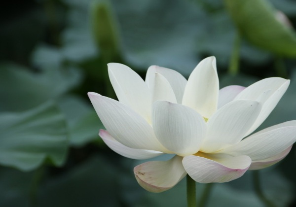 1637026870954189.jpg image.jpg