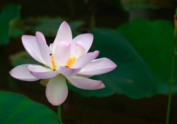 1637026882195912.jpg image.jpg