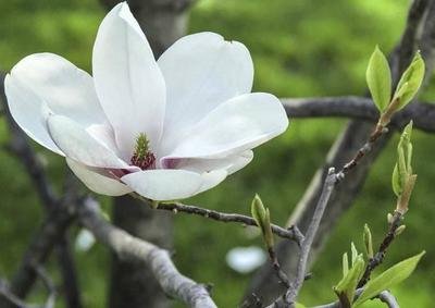 1637146388255630.jpg 1637146388255630.jpg