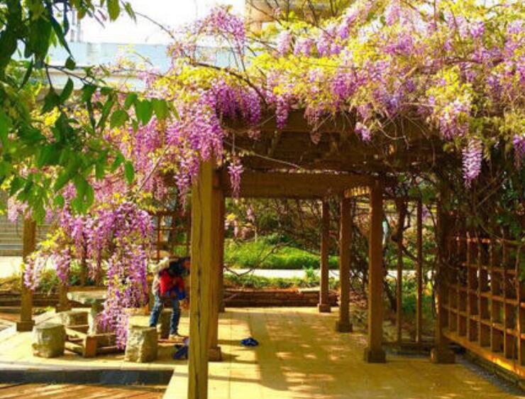 1637163911846065.jpg 1637163911846065.jpg