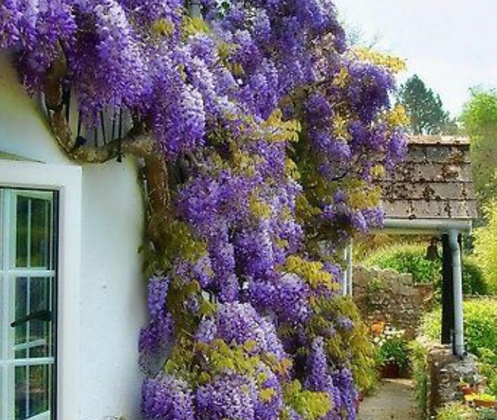 1637163958376672.jpg 1637163958376672.jpg