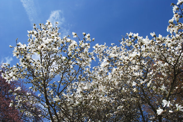 1637227823623019.jpg 1637227823623019.jpg