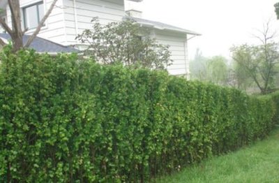 1637228351101999.jpg 1637228351101999.jpg