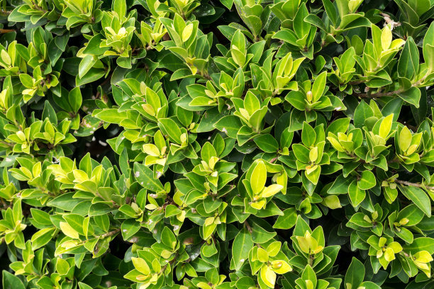 1637230991870098.jpg 1637230991870098.jpg