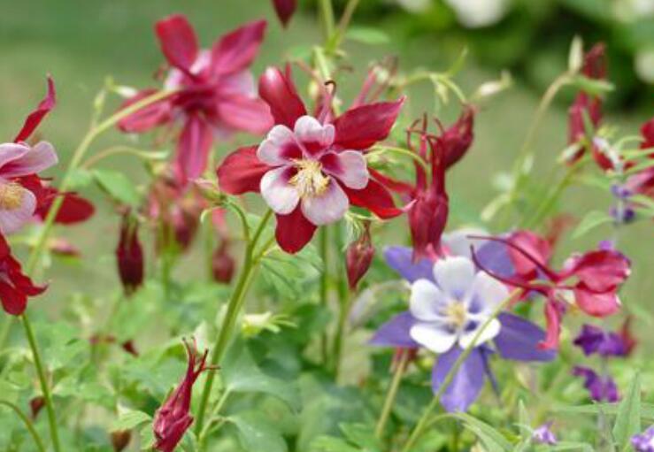 1637333895589614.jpg 1637333895589614.jpg