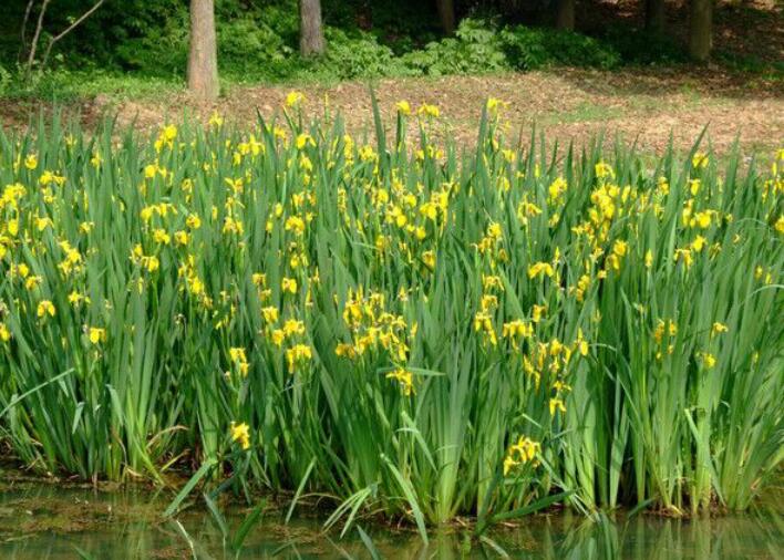 1637333956637322.jpg 1637333956637322.jpg