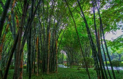 1637370845297119.jpg 1637370845297119.jpg