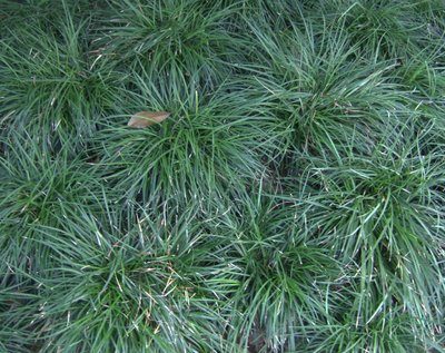 1637373030480072.jpg 1637373030480072.jpg