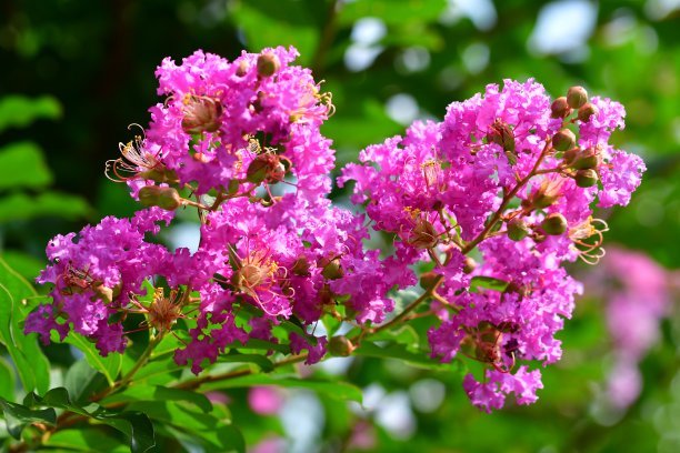 1637376208221911.jpg 1637376208221911.jpg