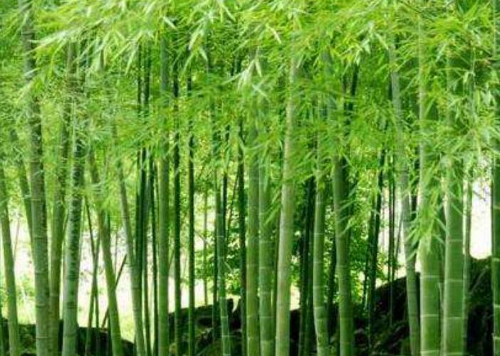 1637923634864422.jpg 1637923634864422.jpg