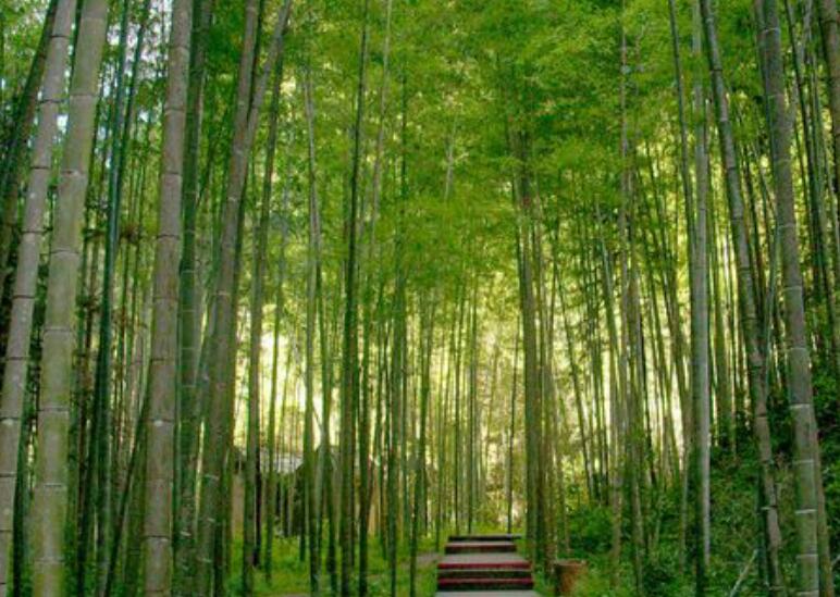 1637923653551215.jpg 1637923653551215.jpg