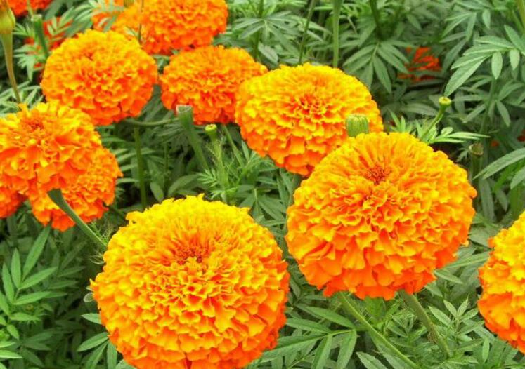 1638024590845490.jpg 1638024590845490.jpg