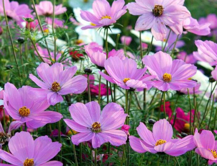 1638086905522452.jpg 1638086905522452.jpg