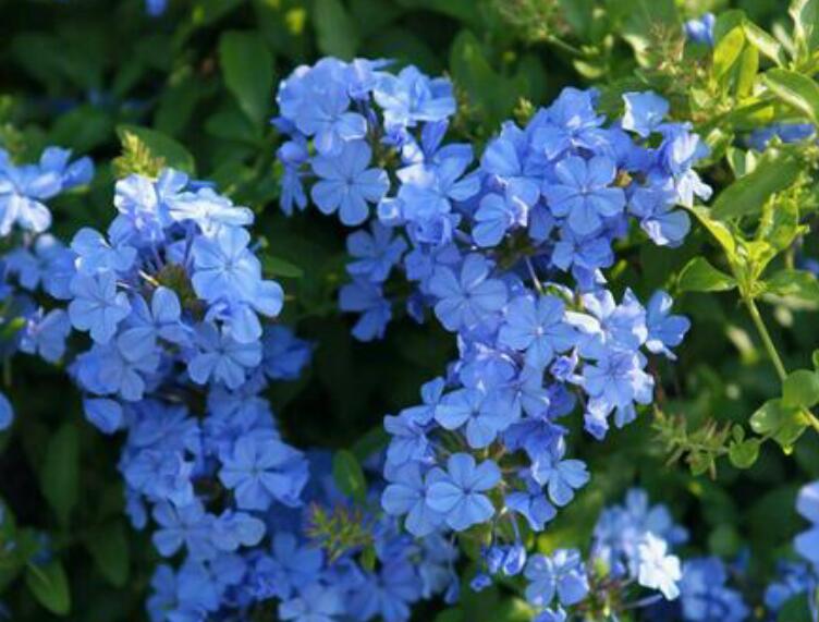 1638173548399546.jpg 1638173548399546.jpg