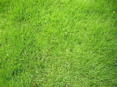 1638181039936345.jpg 1638181039936345.jpg