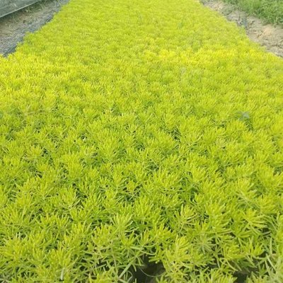 1638493959988984.jpg 1638493959988984.jpg