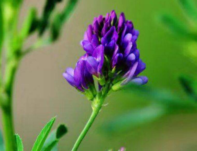 1638718097874512.jpg 1638718097874512.jpg