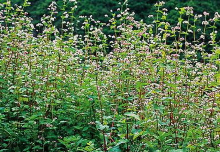 1638976490874625.jpg 1638976490874625.jpg