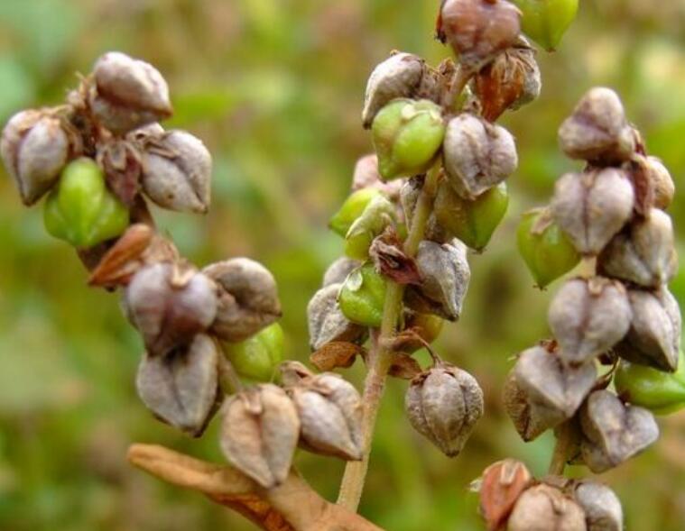 1638976502393691.jpg 1638976502393691.jpg