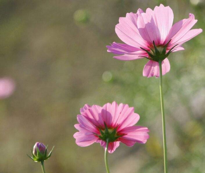 1639032280189889.jpg 1639032280189889.jpg