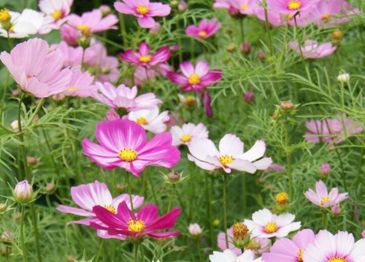 1639032294968242.jpg 1639032294968242.jpg