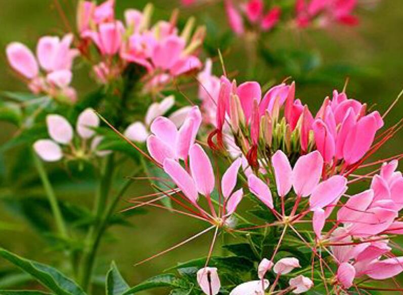 1639032312181007.jpg 1639032312181007.jpg