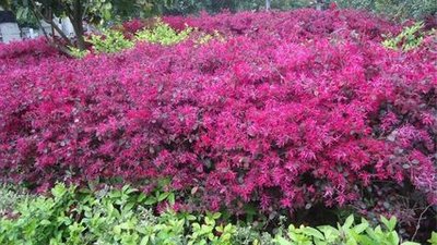 1639217421286122.jpg 1639217421286122.jpg