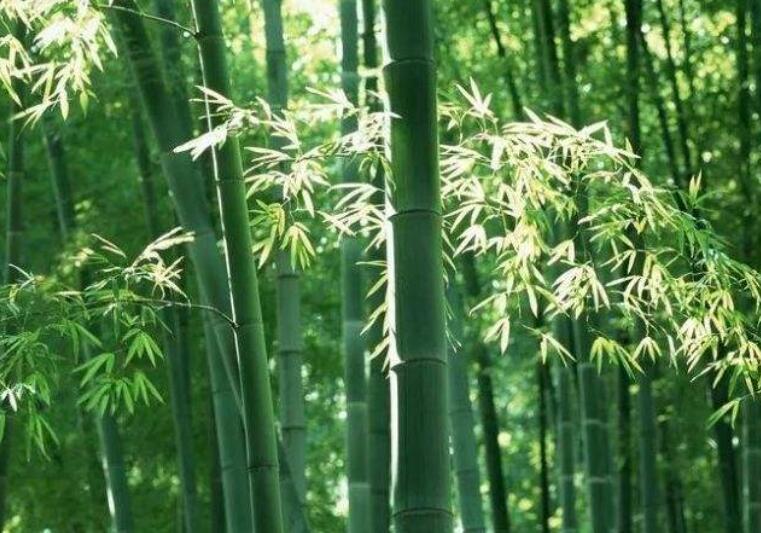 1639293966673526.jpg 1639293966673526.jpg