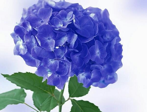 1639372023364227.jpg 1639372023364227.jpg