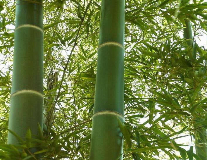 1639464660193648.jpg 1639464660193648.jpg