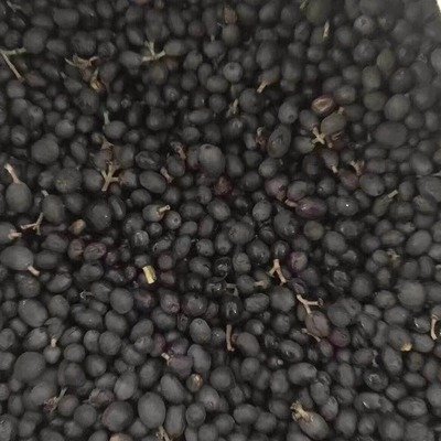 1639823918601717.jpg 1639823918601717.jpg