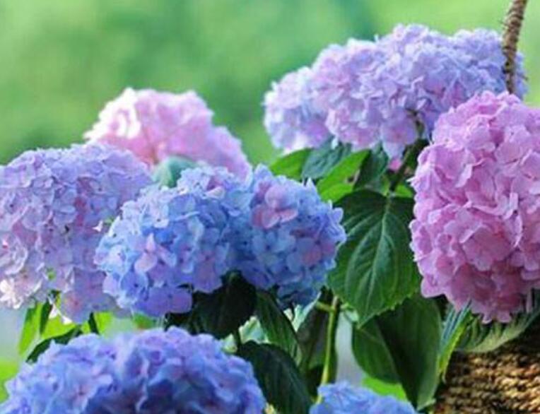 1639838920134378.jpg 1639838920134378.jpg