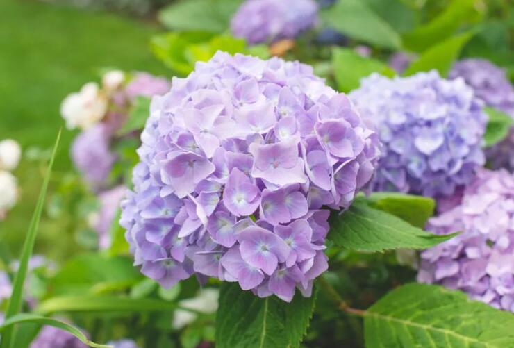 1639838942844189.jpg 1639838942844189.jpg