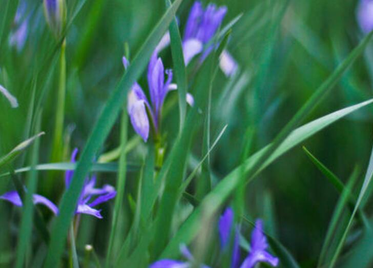 1639839488857944.jpg 1639839488857944.jpg