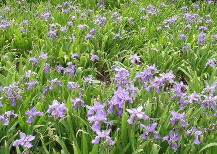 1639839497290002.jpg 1639839497290002.jpg