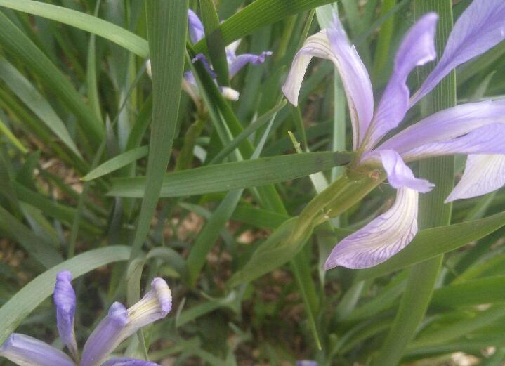 1639875520917638.jpg 1639875520917638.jpg