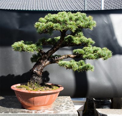 1639908968413561.jpg 1639908968413561.jpg