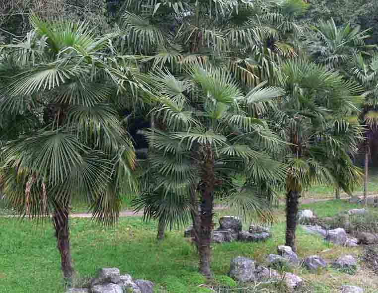 1639912718379420.jpg 1639912718379420.jpg