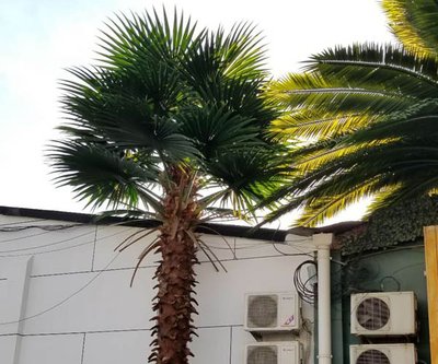 1639912740150176.jpg 1639912740150176.jpg