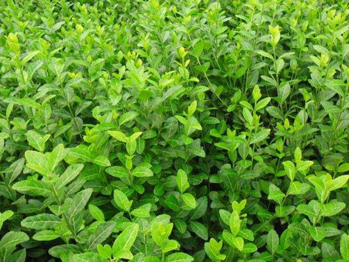 1639977914975403.jpg 1639977914975403.jpg