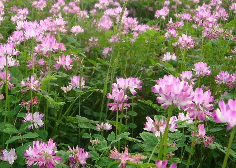 1639983572715870.jpg 1639983572715870.jpg