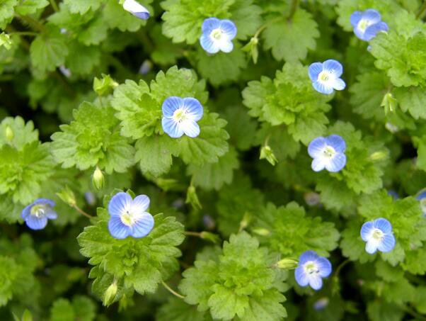 1640073537728934.jpg 1640073537728934.jpg