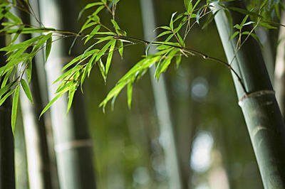 1640074889333799.jpg 1640074889333799.jpg