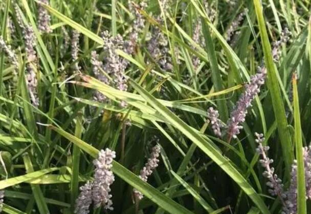 1640172057149636.jpg 1640172057149636.jpg