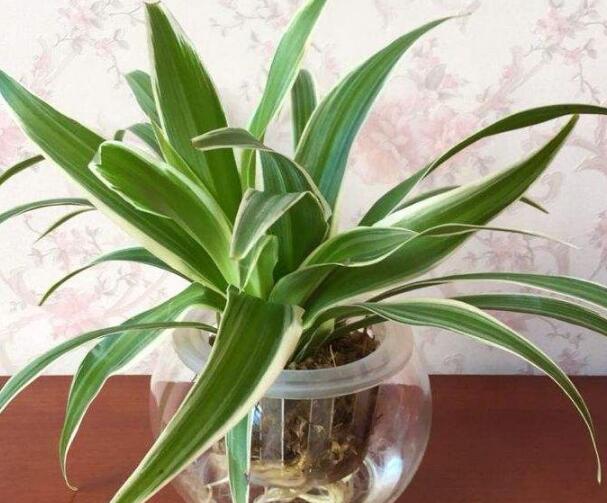 1640172057849970.jpg 1640172057849970.jpg